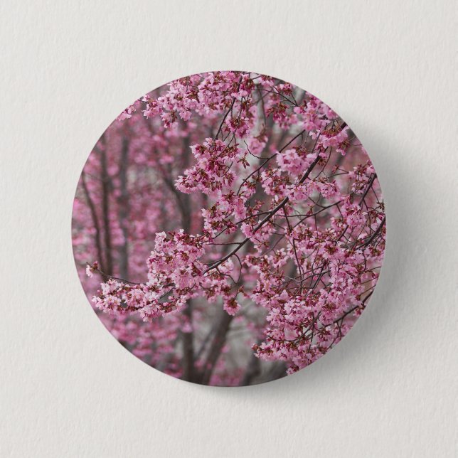 Sakura Körsbärsblommor Flödande Rosa Knapp (Framsida)