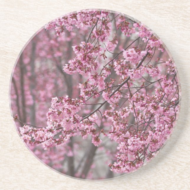 Sakura Körsbärsblommor Flödande Rosa Underlägg Sandsten (Framsidan)
