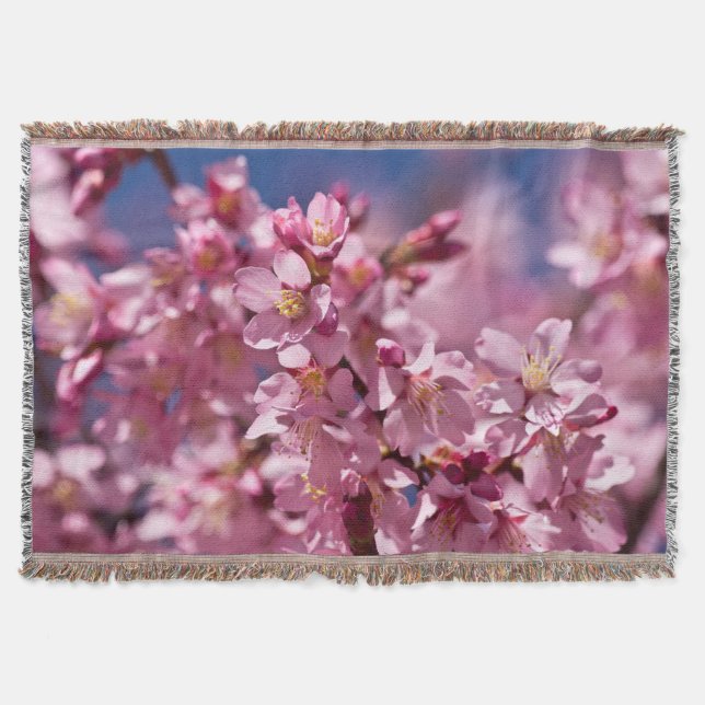 Sakura Körsbärsblommor Kyssade Av Solljus Mysfilt (Framsidan)