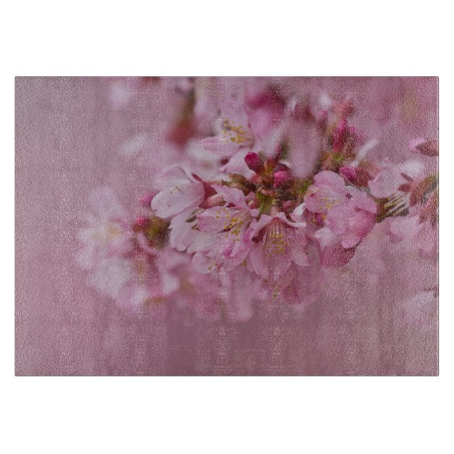 Sakura Körsbärsblommor Ljusrosa Reflektioner (Framsidan)