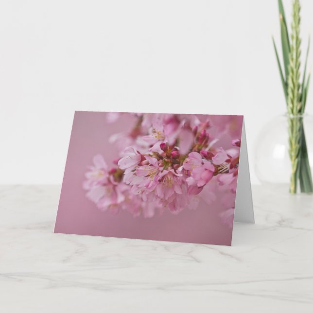 Sakura Körsbärsblommor Ljusrosa Reflektioner Kort (Framsida)