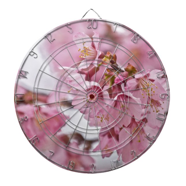 Sakura Körsbärsblommor Ljust Rosa Piltavla (Framsidan)