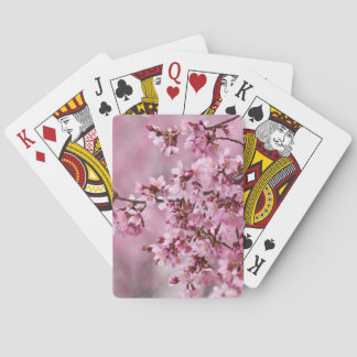 Sakura Körsbärsblommor Pastell Rosa Lager Kortlek