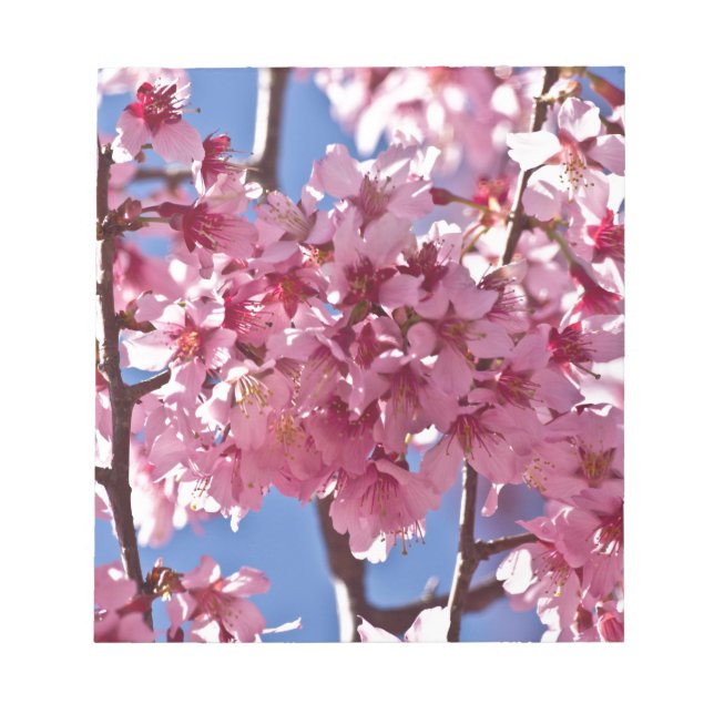 Sakura Körsbärsblommor Röda Stjärnor Anteckningsblock (Framsida)