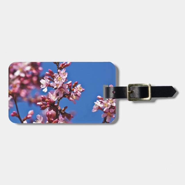 Sakura Körsbärsblommor vid Blå Bagagebricka (Horisontell Framsida)