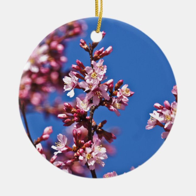 Sakura Körsbärsblommor vid Blå Julgransprydnad Keramik (Framsidan)
