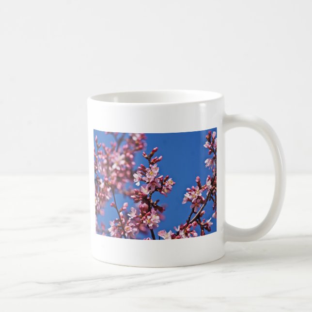 Sakura Körsbärsblommor vid Blå Kaffemugg (Höger)