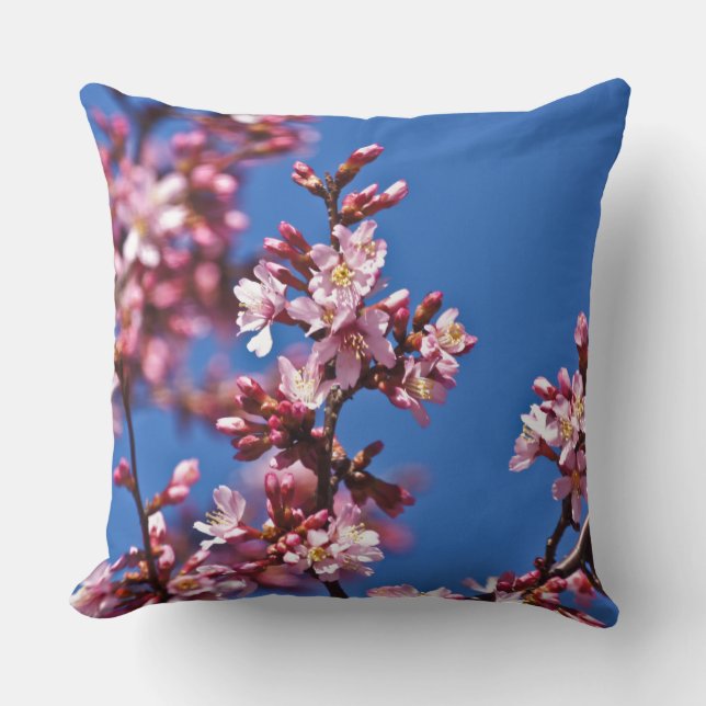 Sakura Körsbärsblommor vid Blå Kudde (Framsida)