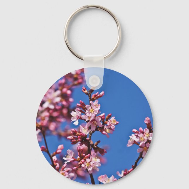 Sakura Körsbärsblommor vid Blå Nyckelring (Framsida)