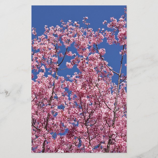Sakura Körsbärsblomning I Det Blå Brevpapper (Framsida)