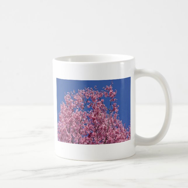 Sakura Körsbärsblomning I Det Blå Kaffemugg (Höger)