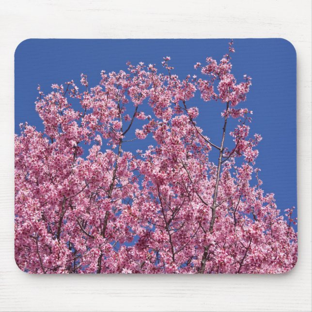 Sakura Körsbärsblomning I Det Blå Musmatta (Framsidan)
