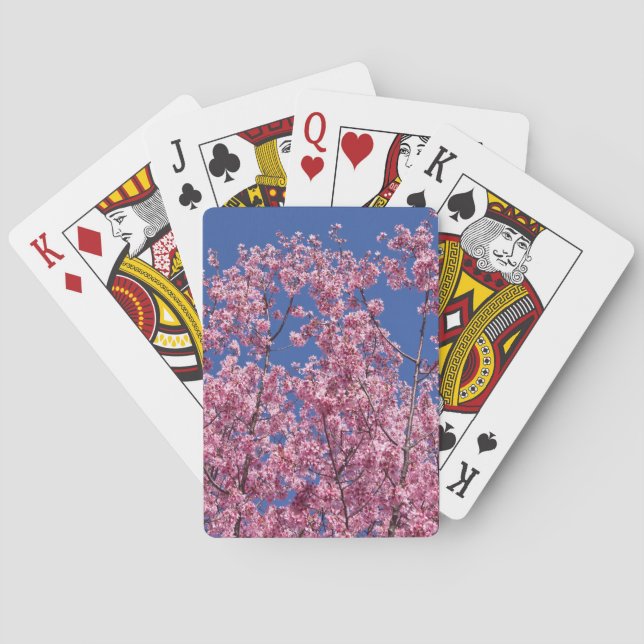 Sakura Körsbärsblomning I Det Blå Spel Kort (Baksidan)