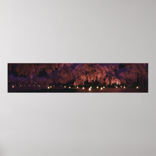 Sakura (natt) panorama poster