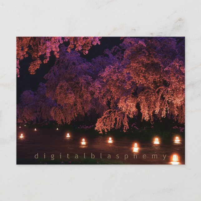 Sakura (Natten) Vykort (Framsida)