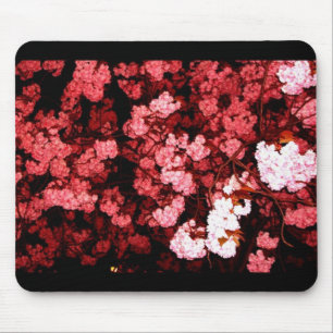 Sakura Nightly Musmatta
