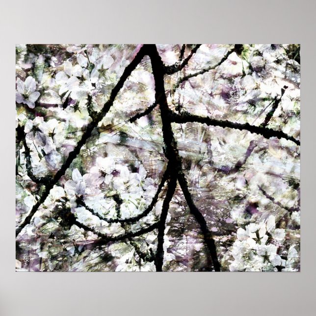 Sakura Poster (Framsidan)