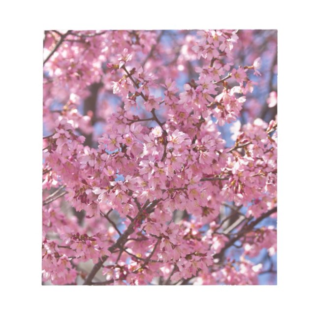 Sakura Rosa Cherry Blommar Himlar Anteckningsblock (Framsida)