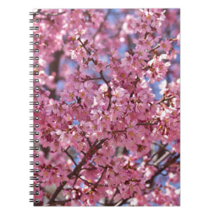 Sakura Rosa Cherry Blommar Himlar Anteckningsbok Med Spiral