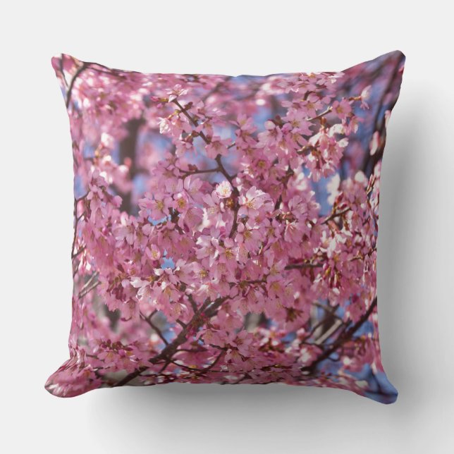 Sakura Rosa Cherry Blommar Himlar Kudde (Framsida)