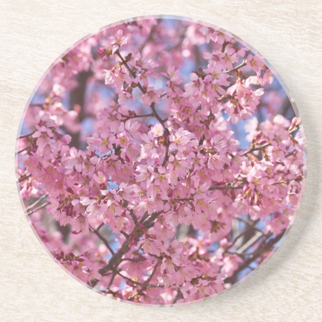 Sakura Rosa Cherry Blommar Himlar Underlägg Sandsten (Framsidan)