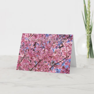 Sakura Rosa Körsbärsblom Himmel Affisch Kort