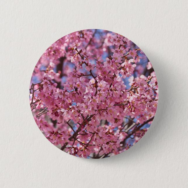 Sakura Rosa Körsbärsblomshimmel Knapp (Framsida)