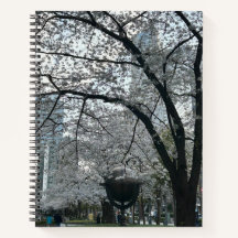 Sakura Season i Shinjuku