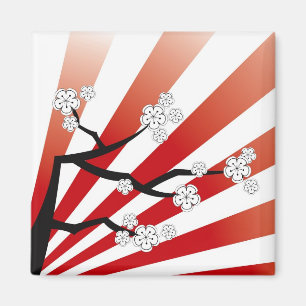 Sakura Sunrise White Cherry Blommars Flowers Zen Magnet