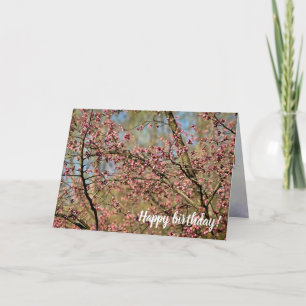 Sakura Träd är Redo till Bloom i Vår Garden Kort