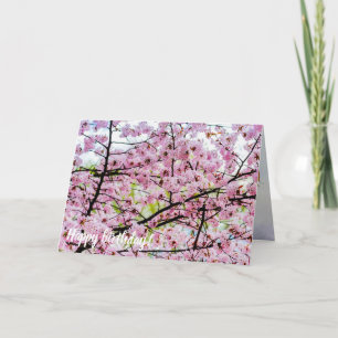 Sakura Träd i Fullt Rosa Bloom in Springtime Kort