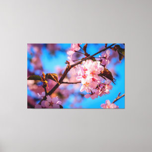 Sakura Träd i Rosa Blomning Canvastryck