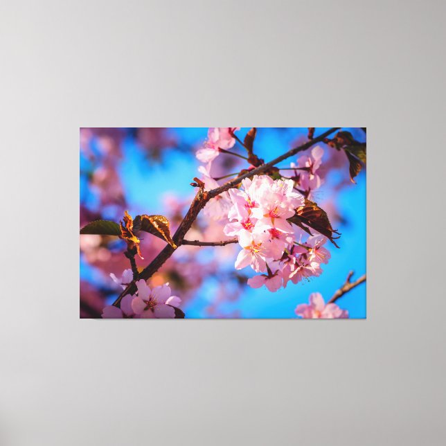 Sakura Träd i Rosa Blomning Canvastryck (Framsida)