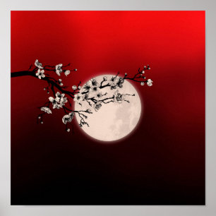 Sakura - vit blommar - måne poster
