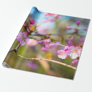 Sakurablommor av konstnärlig Rosa i Cherry Garden Presentpapper