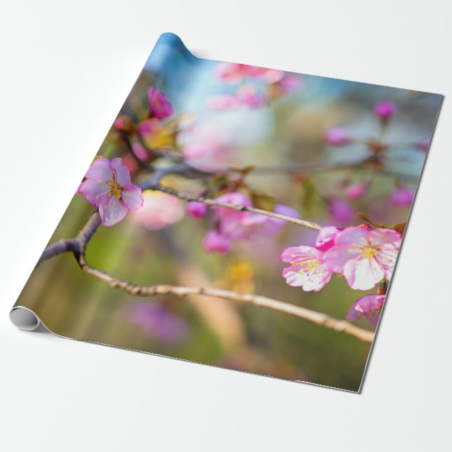 Sakurablommor av konstnärlig Rosa i Cherry Garden Presentpapper (Utrullad)