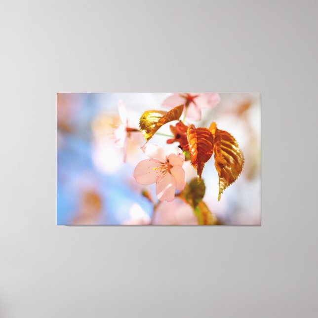 Sakurablommor och orangea blad på våren canvastryck (Framsida)