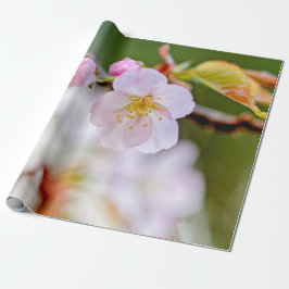 Sakurablommornas naturliga Blommigt Presentpapper