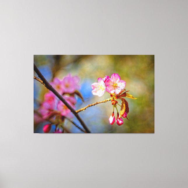 Sakurablommornas naturliga sammansättning i Vår Canvastryck (Framsida)