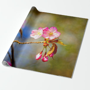 Sakurablommornas naturliga sammansättning presentpapper