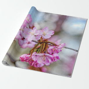 Sakuras Blommars missuppfattning Presentpapper