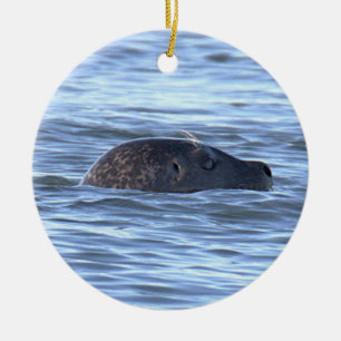 Säl Foto Ornament