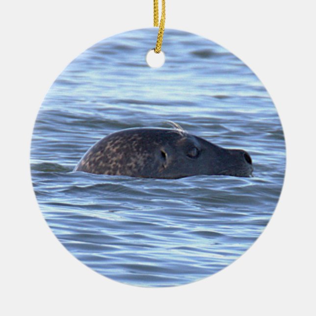 Säl Foto Ornament  (Framsidan)