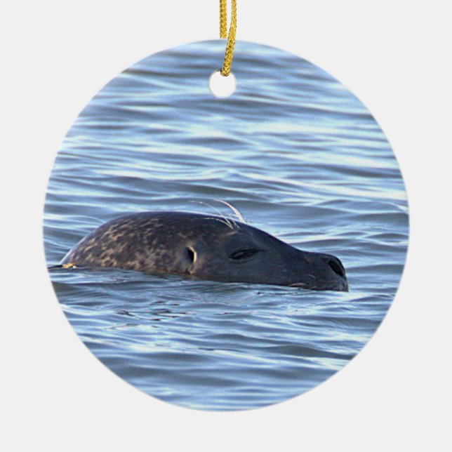 Säl Foto Ornament  (Framsidan)