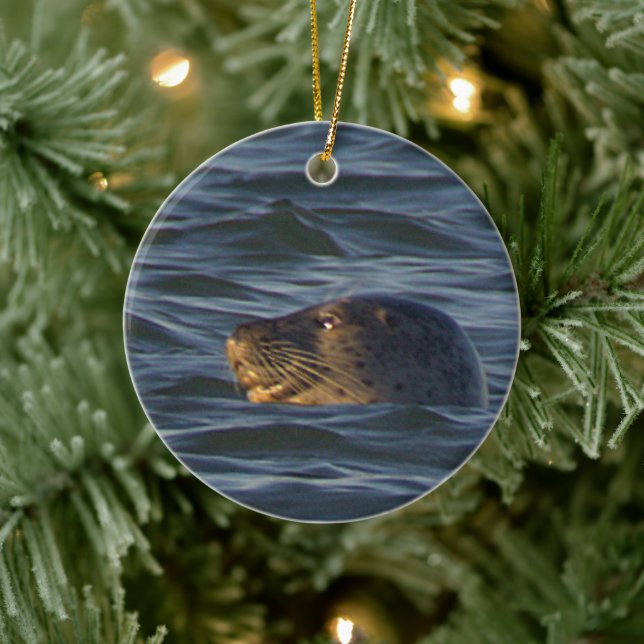 Säl Foto Ornament  (Träd)