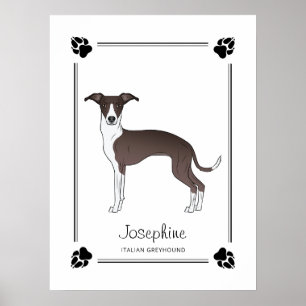 Sal och vit italiensk greyhound med Tassar & text Poster