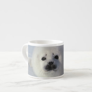 Säl (Phoca groenlandica) En veckogammal säl Espressomugg