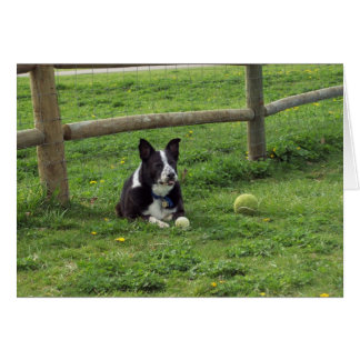 Sal_porträtt2 OBS Kort