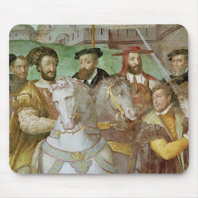 Sala dei Fasti Farnese Musmatta (Framsidan)