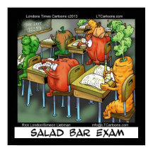 Salad Pub Exam Funny Vegan Lawyer Poster